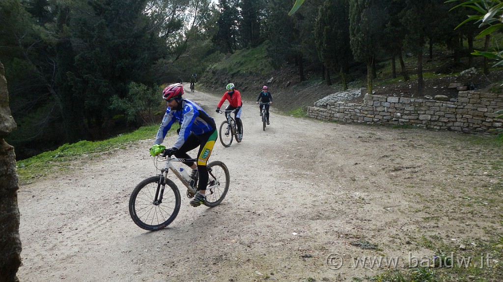 DSCN7291.JPG -                                