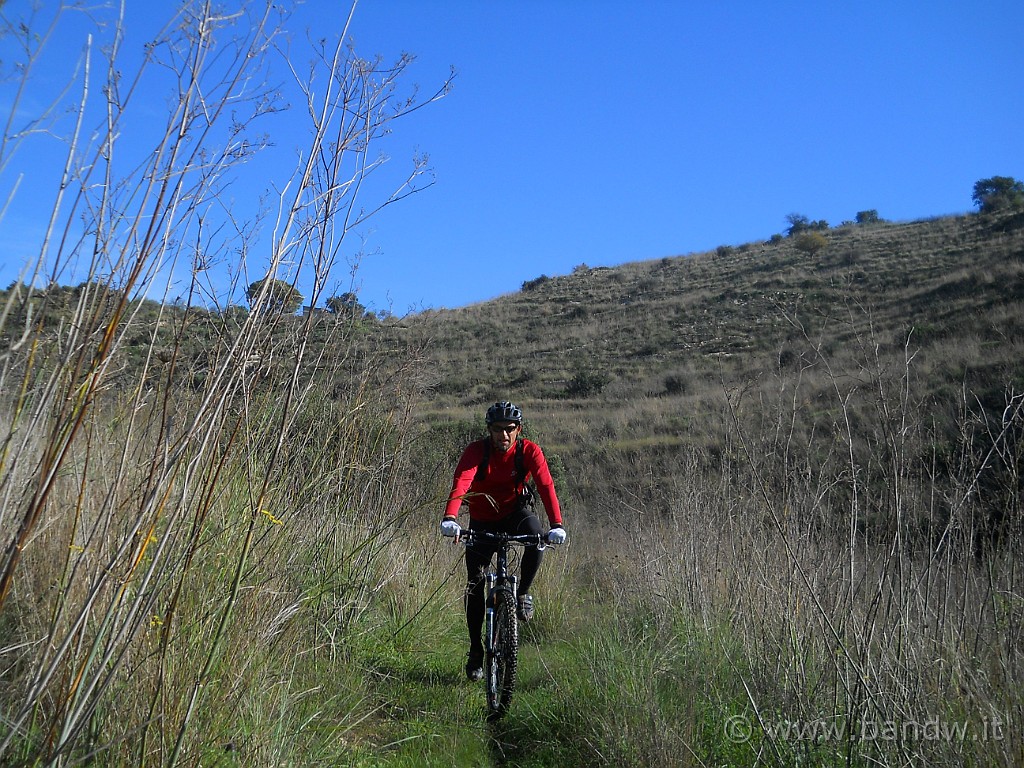 DSCN2693.JPG - Ogni tanto la vegetazione si dirada e abbiamo più spazio per pedalare