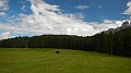 DSCN3768
