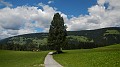 DSCN3828