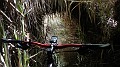DSCN6195