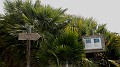 DSCN6197