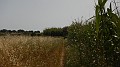 DSCN6199