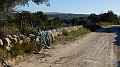 DSCN0857