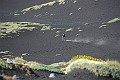 IMG_9289