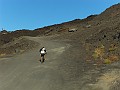 SDC16784