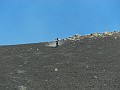 SDC16871