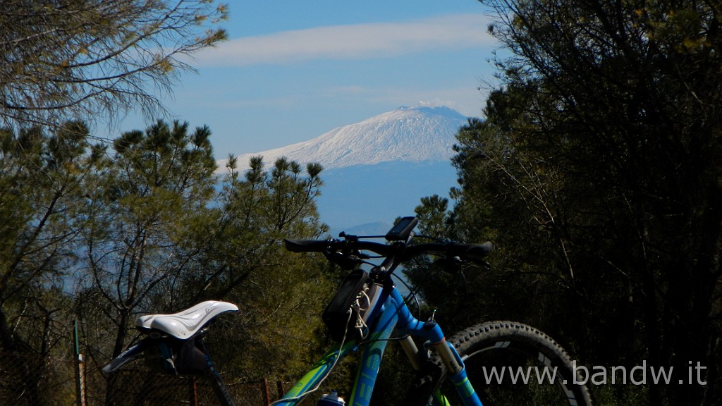 DSCN6046.JPG -                                