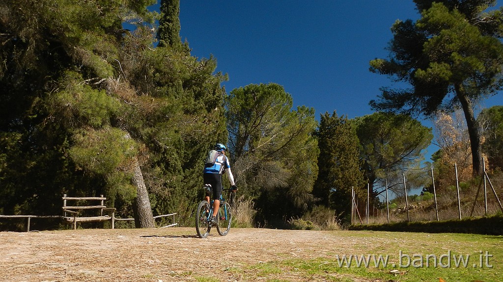 DSCN6052.JPG -                                