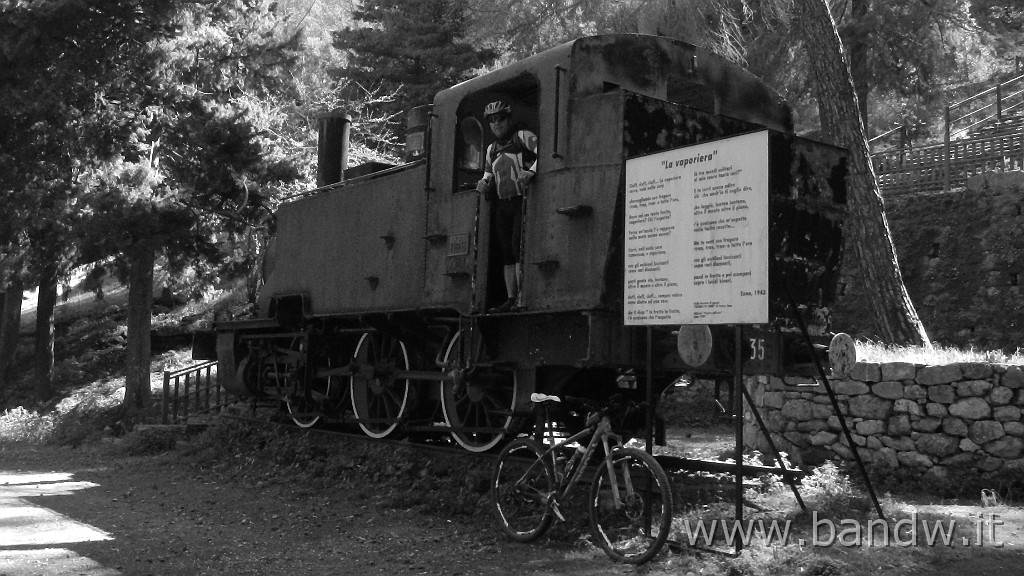 DSCN6057.JPG -                                
