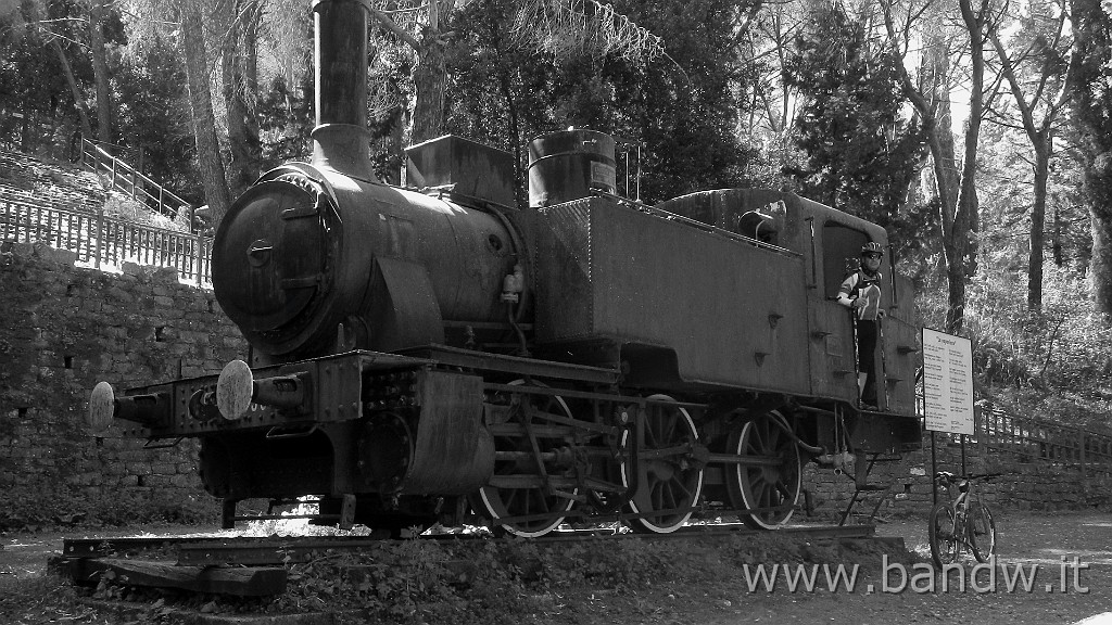 DSCN6058.JPG -                                