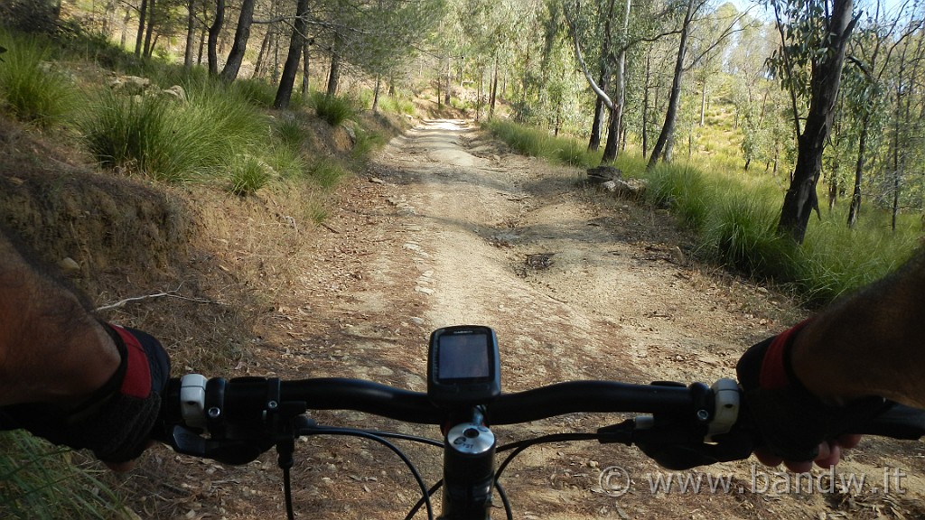 DSCN9748.JPG -                                