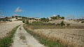 DSCN9743