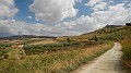 DSCN9766