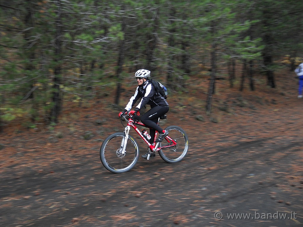 DSCN7642.JPG -           