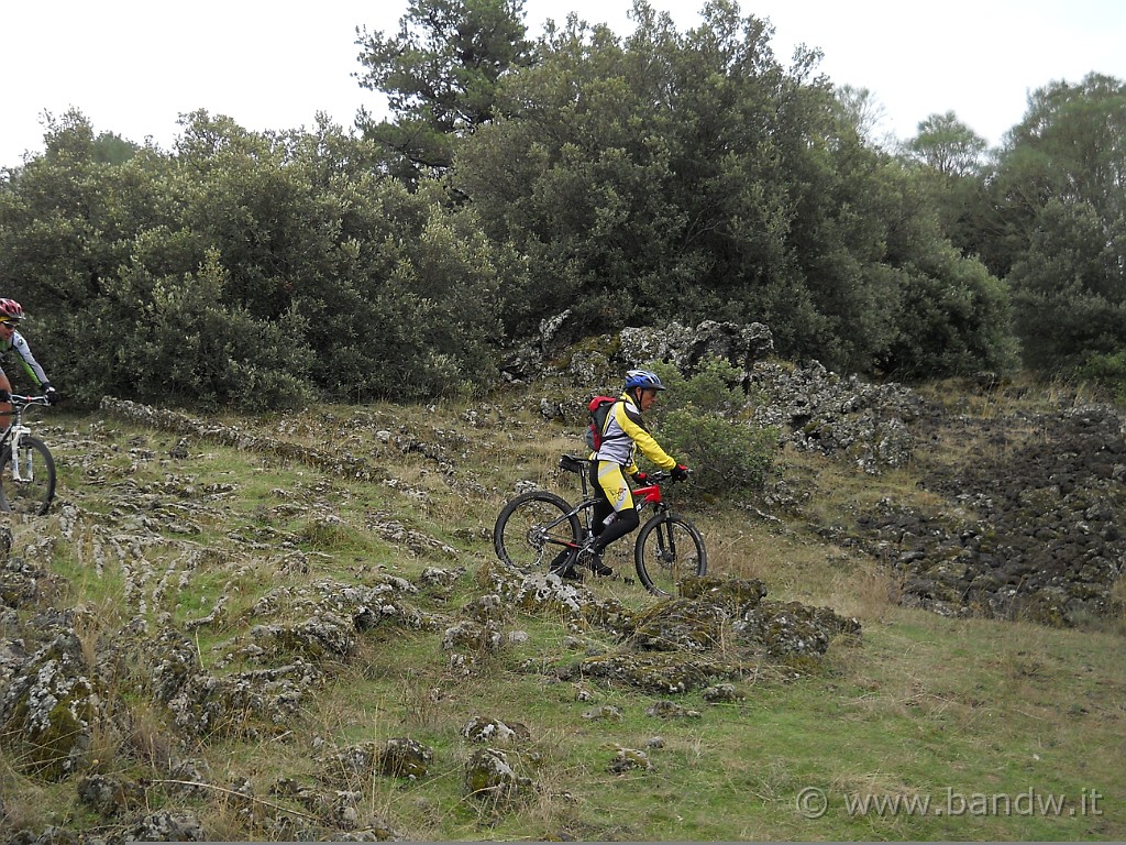 DSCN7648.JPG -           