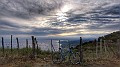 G0197317_1599038847342-01