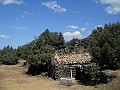 DSCN6578