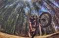 G0563006_1531841283641_high-01