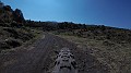 G3147138