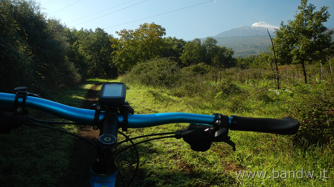 DSCN7927.JPG -                                