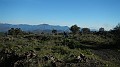 DSCN7920
