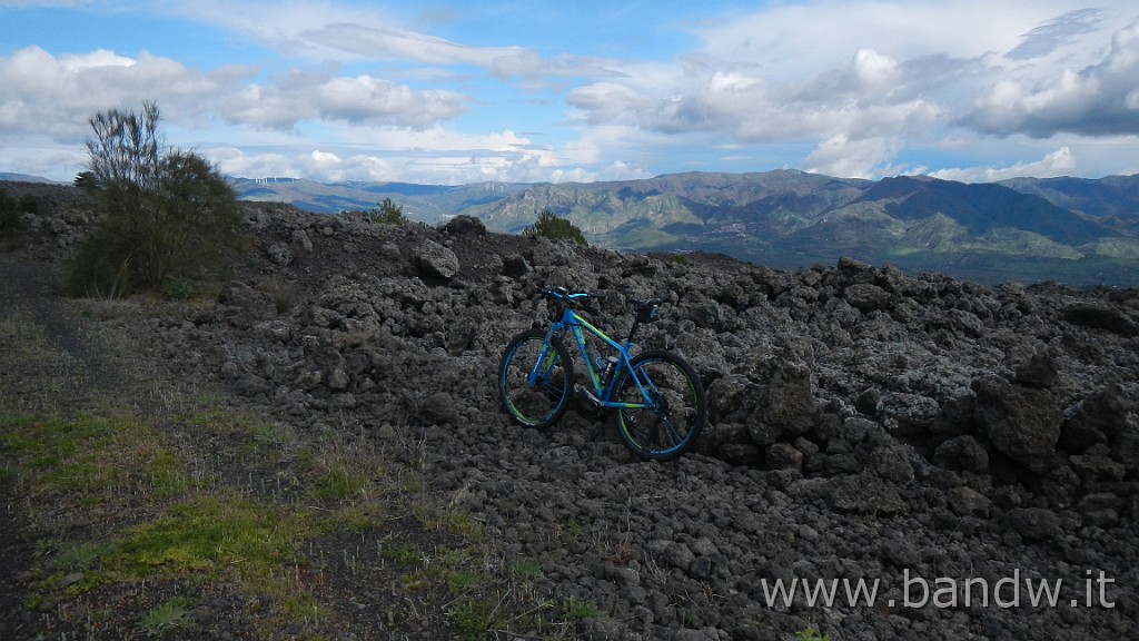 DSCN8051.JPG -                                