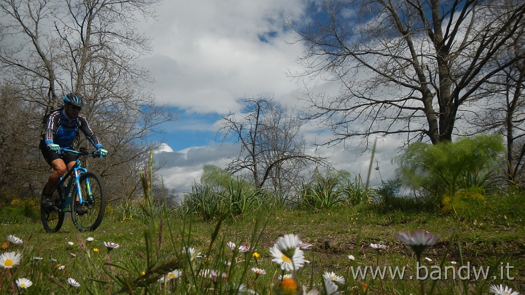 DSCN8056.JPG -                                