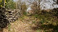 DSCN0270