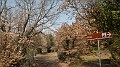 DSCN0272