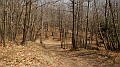 DSCN0273