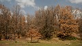 DSCN0277
