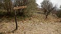 DSCN0278