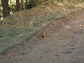 DSCN0976