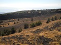 DSCN0987
