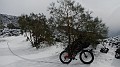 DSCN5866