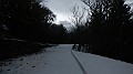 DSCN5875