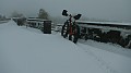 DSCN5884