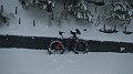 DSCN5896