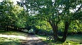 DSCN0498-01_1bis