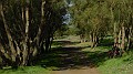 DSCN0511