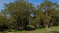 DSCN0512