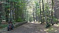 DSCN0520