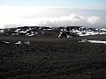 DSCN2939
