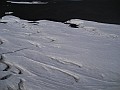 DSCN2948