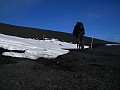 DSCN2951