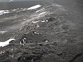 DSCN2954