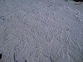DSCN2955
