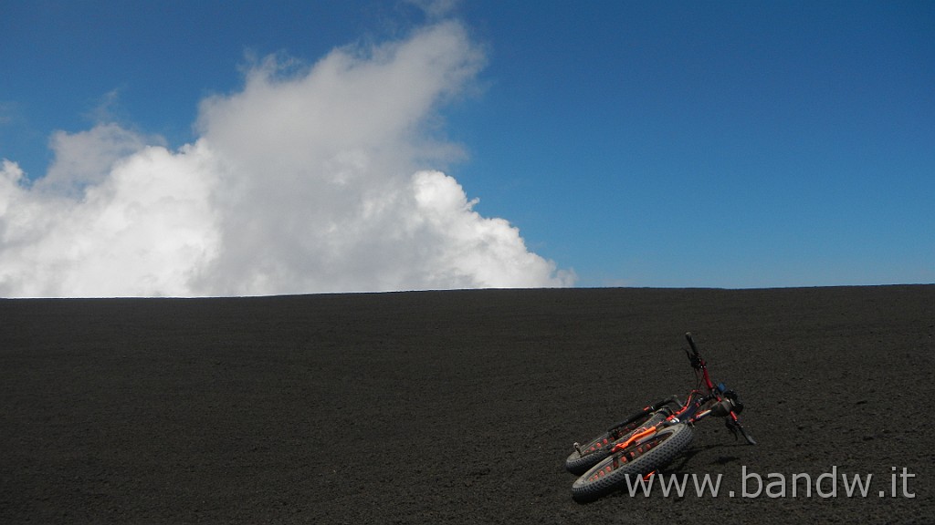 DSCN7479.JPG -                                
