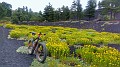P_20180731_133555-01